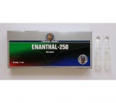 Enanthate MT 250mg/amp