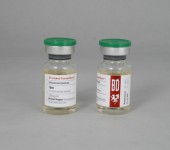 Testabol Enanthate 250mg/ml (10ml)