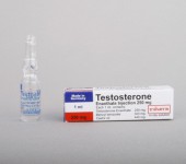 Testosteron Enanthate Bayer 250mg/amp