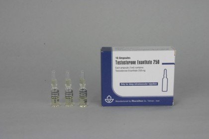 Testosteron Enanthate Iran 250mg/amp
