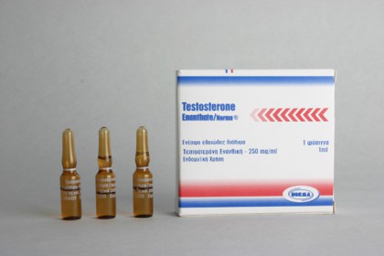 Testosteron Enanthate Norma 250mg/amp